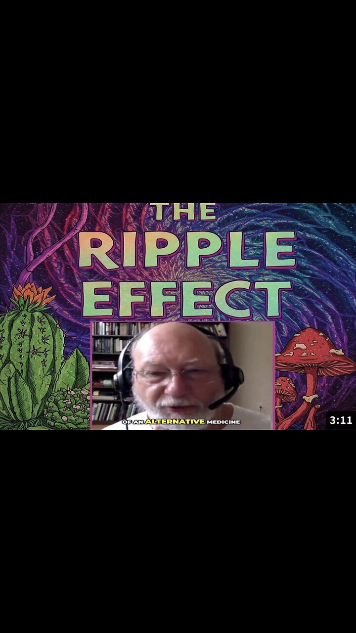 The Rise of Decriminalizing Plant Medicines : A New Paradigm with Dennis McKenna (Clip)