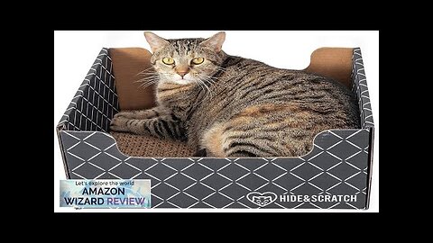 Hide & Scratch Extra-Large Heavy Duty Cardboard Cat Scratcher Box and Cat Review