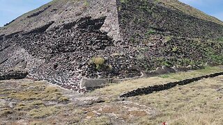 PYRAMIDS OF MEXICO CITY