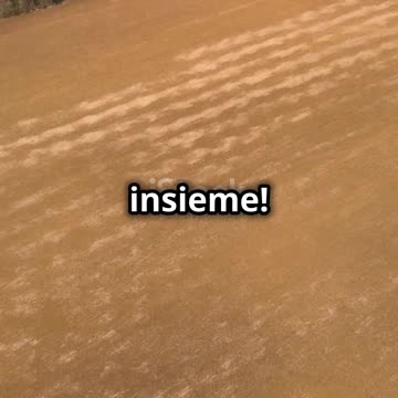 La Colnago_ L'eccellenza italiana delle bicicletta