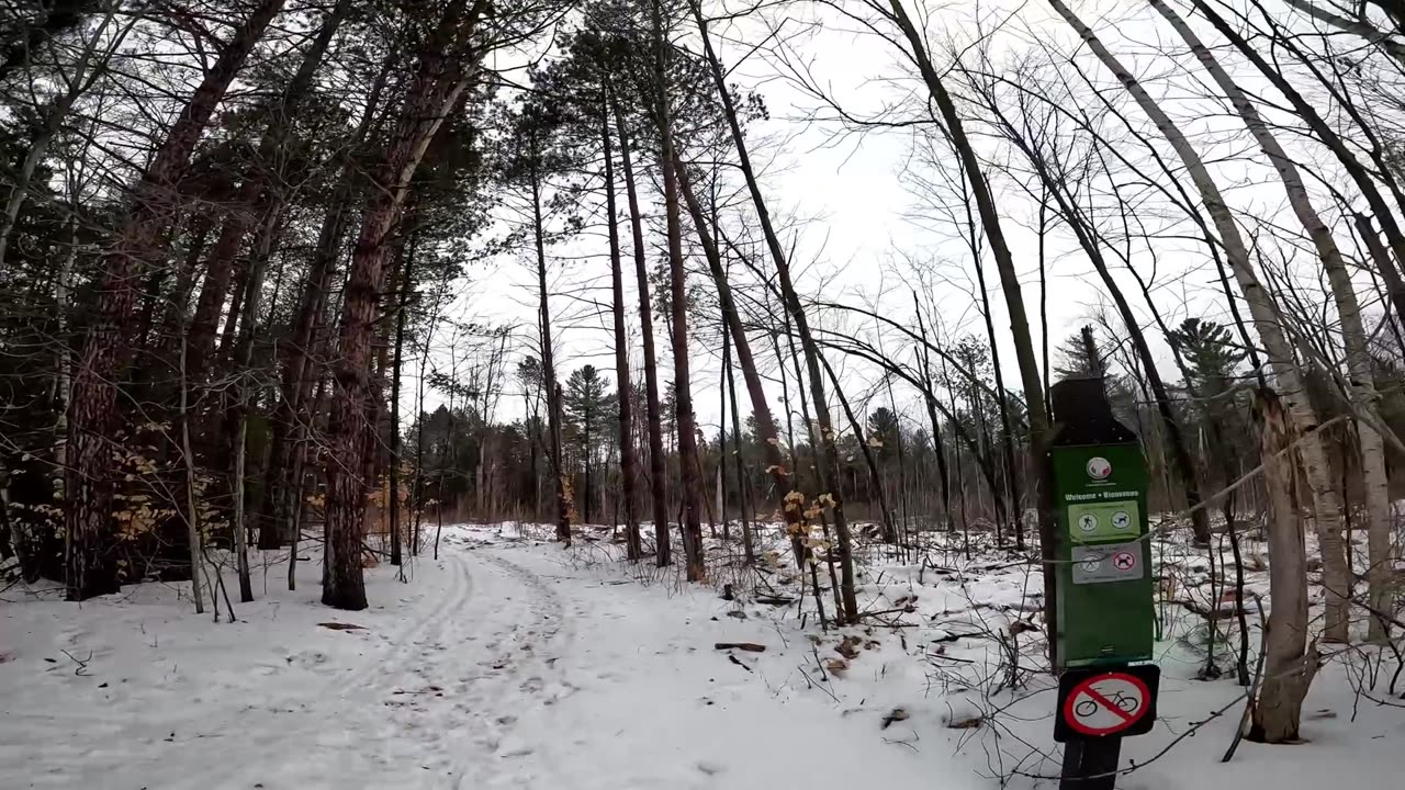 ❄️2025⛷️🏂Winter Hiking⛄ Welcome To Pinhey Sand Dunes Trails Part 5 in Ottawa ⛷️❄️⛄ Canada 🍁