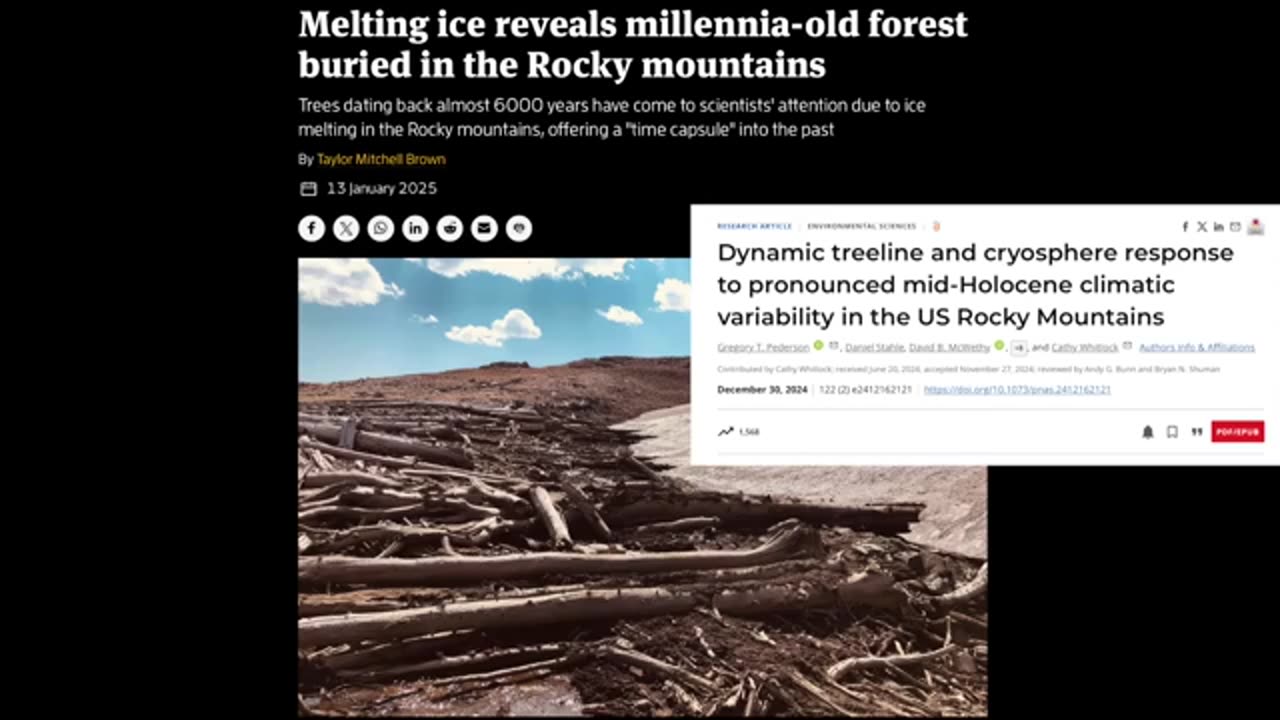 6000 Year Old Forest Discovered