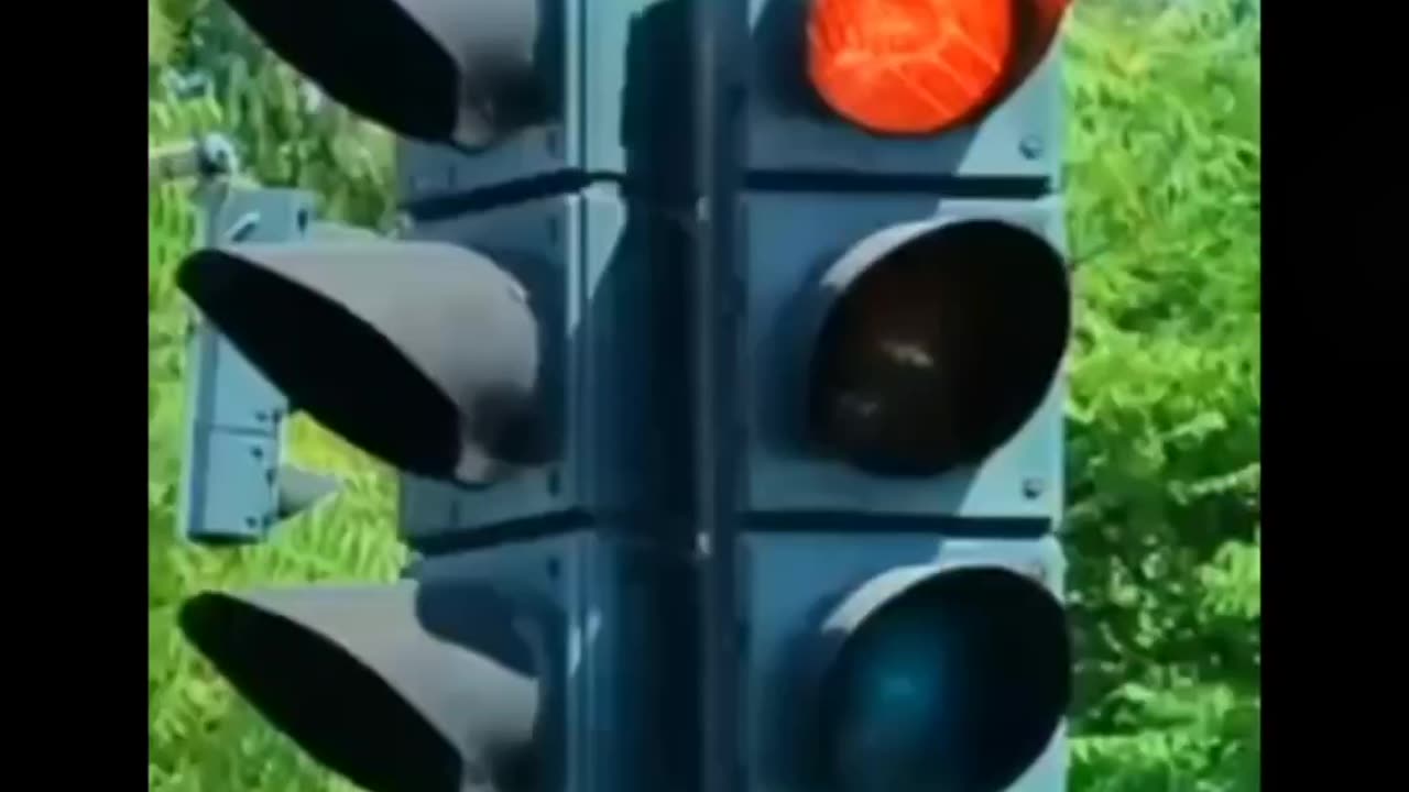 π€£π΅ Laughter Unleashed | Must-See Funny Videos