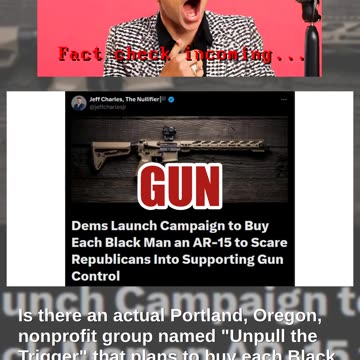 Fact Check: Satire Story Says Nonprofit Group Wants To Buy Each Black Man In America An AR-15 Rifle