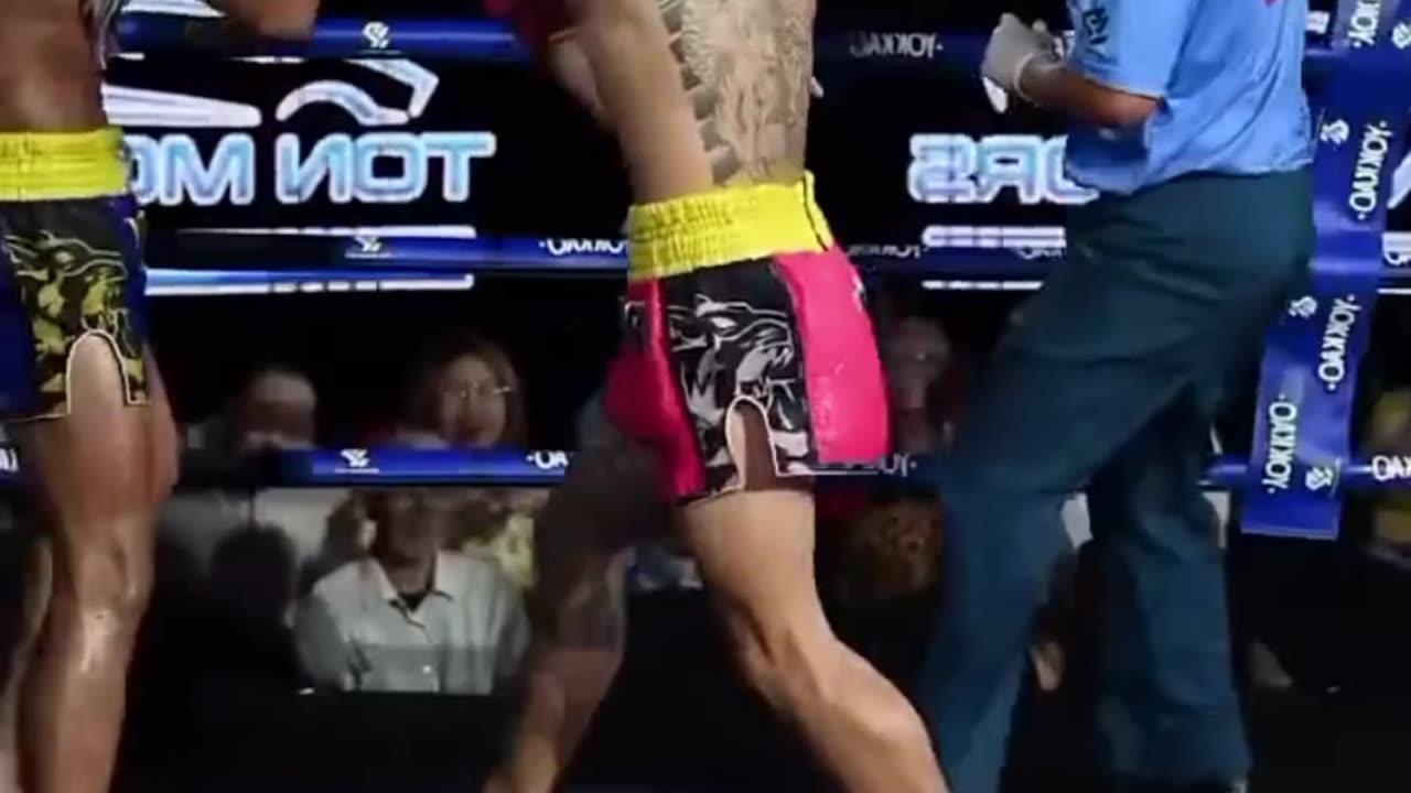 The Power and Precision of a Muay Thai Fighter: Witness the Art of Eight Limbs!