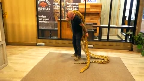 We_Found_a_Snake_BIGGER_Than_Titanoboa