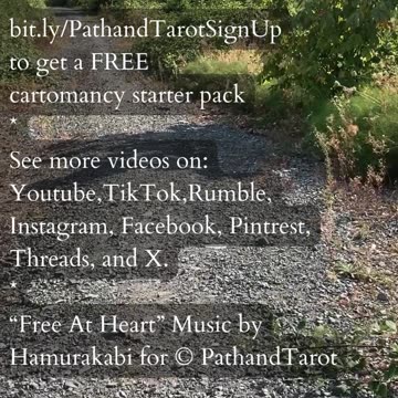 Trust The Process | Path and Tarot Reading