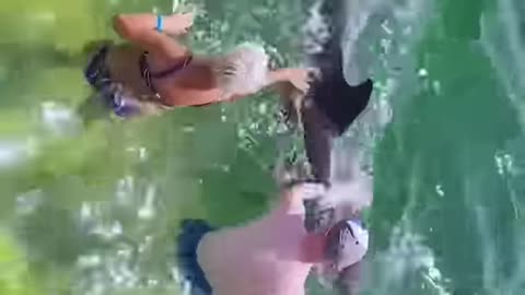 Confused Dolphin Needs Help 😱#Viral