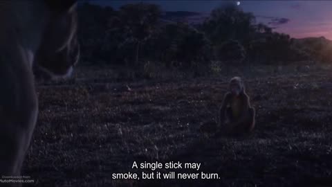Wise words from Rafiki(lion king)