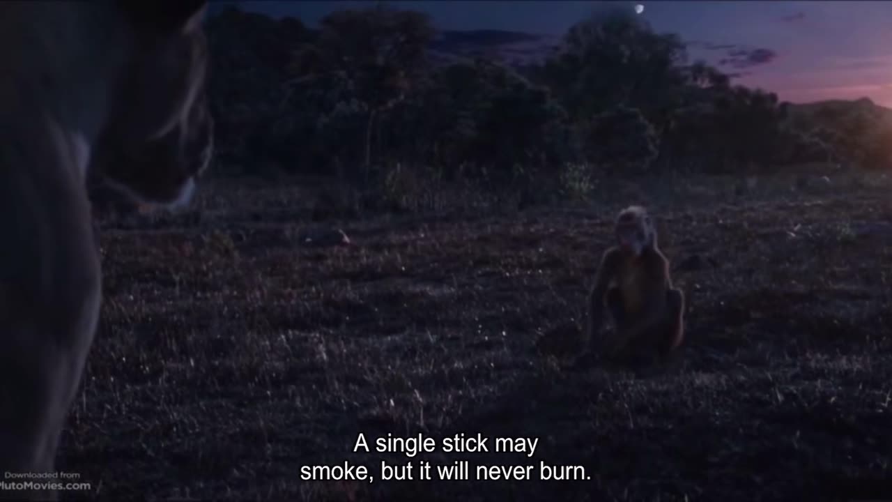 Wise words from Rafiki(lion king)