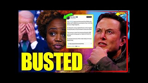 Elon Musk EXPOSED FEMA for $59M Illegal Immigrant SCAM - Democrat CAUGHT Lying on Camera