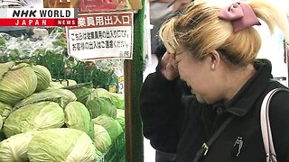 Why cabbage prices are out of control in JapanーNHK WORLD-JAPAN NEWS