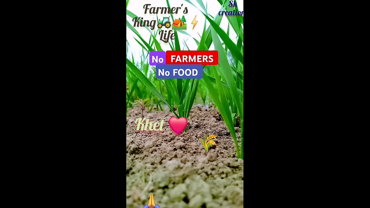 Farmer's life king status 2024 || sk creations || खेतीबाड़ी #kisankheti #farmer | 2024 ||