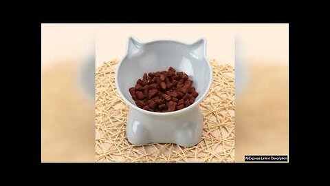 Tall Cat Bowl Dog Bowl Anti-dumping 45°Neck Guard Cat Water Bowl Binaural Review