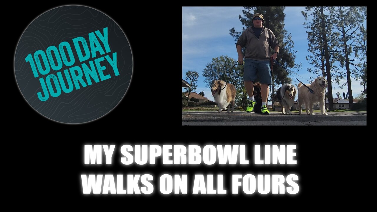 1000 Day Journey 0572 My Superbowl Line Walks on All Fours