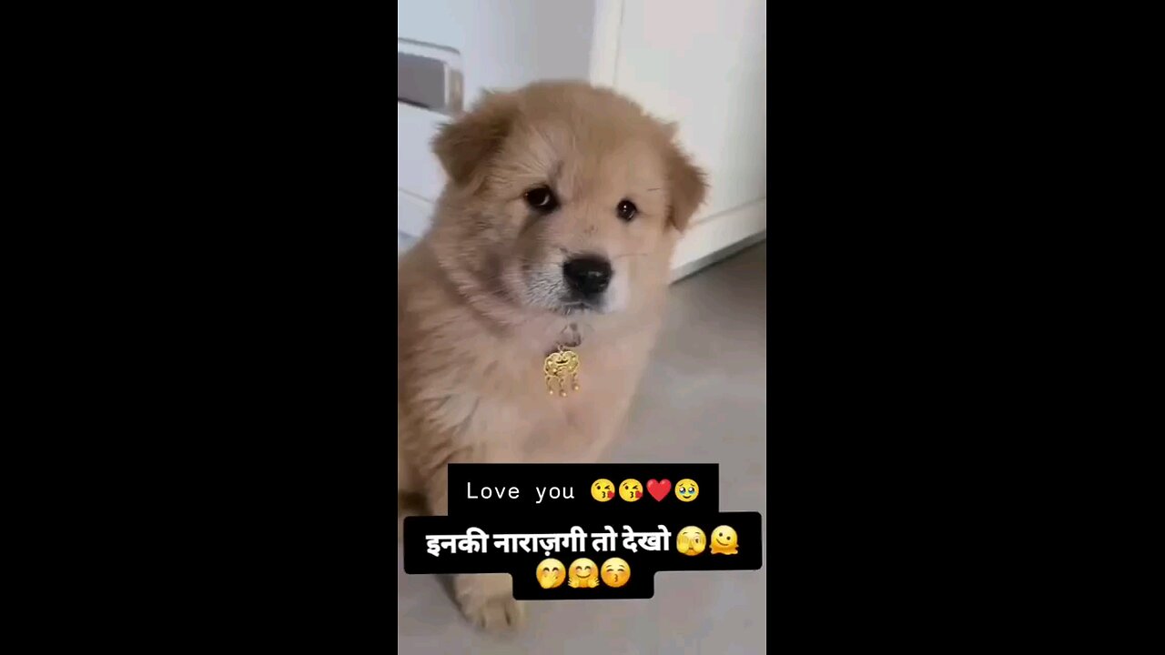 नाराज हो गया पप्पी