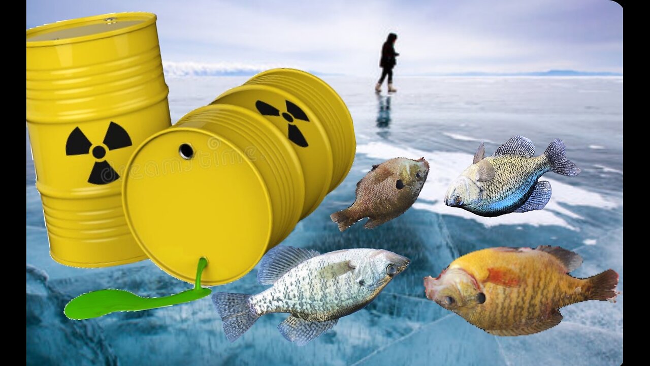 The State Killed this Lake...Has It Returned?