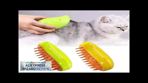 Cat Steam Brush Steamy Dog Brush 3 in 1 Electric Spray Cat Review