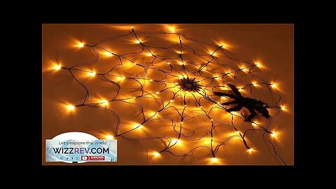 Solar Halloween LED 1.2m Spider Web Lights Waterproof Black Spider Net Lights Review