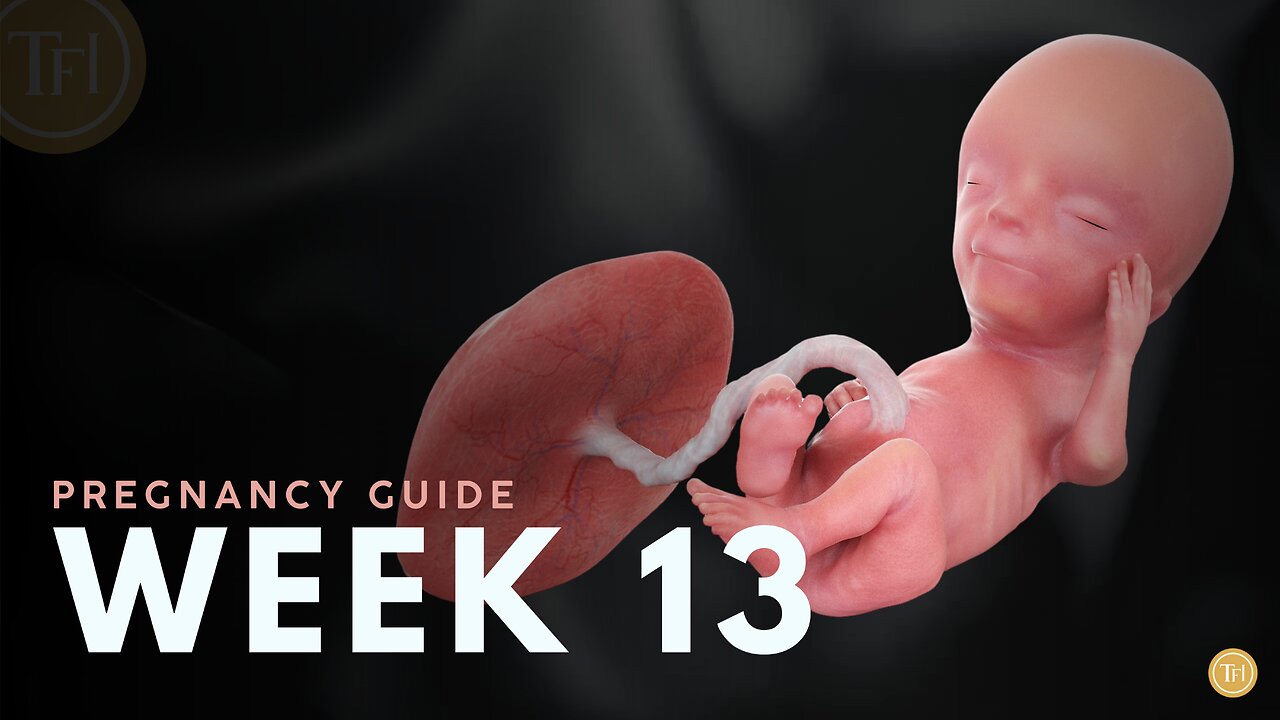 What to Expect at Week 13 | Week by Week Pregnancy Guide