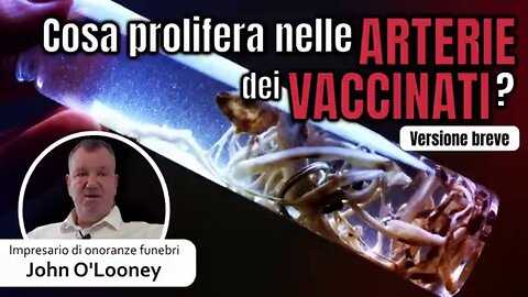 😳 Cosa prolifera nelle ARTERIE dei VACCINATI!? (Audio Italiano)