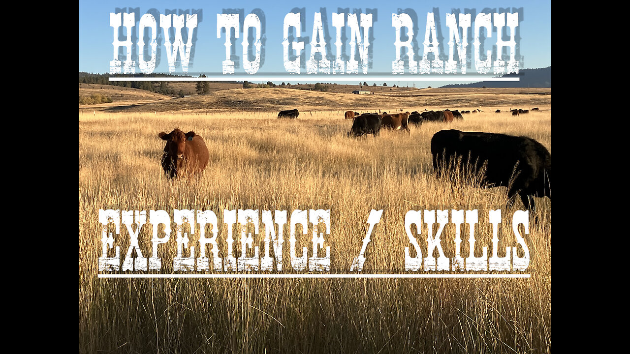 How to Gain Ranch Eperience / Skills