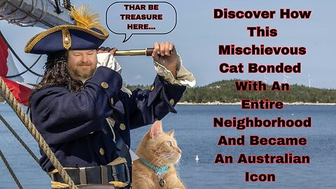 Discover How This Mischievous Cat Bonded with An Entire Neighborhood and Became an Australian Icon