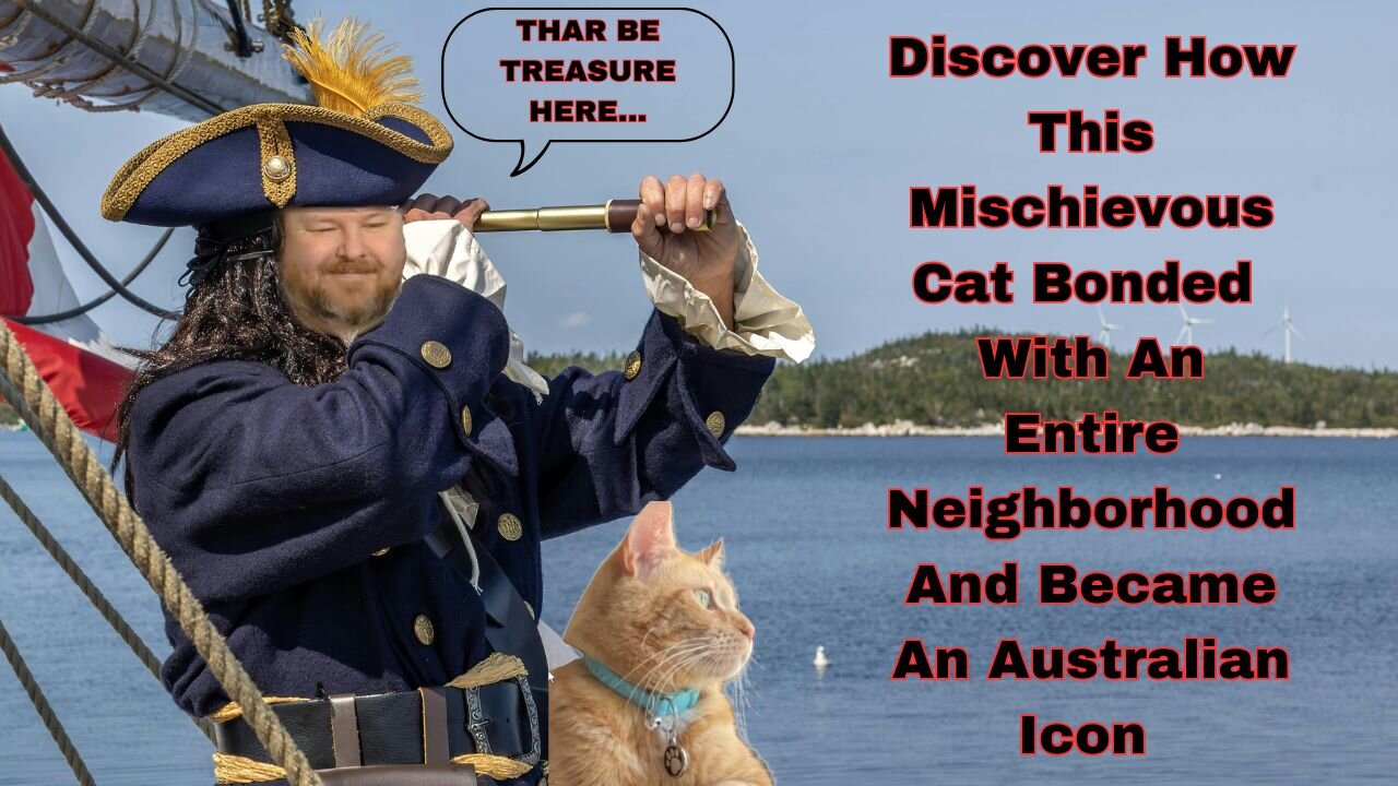 Discover How This Mischievous Cat Bonded with An Entire Neighborhood and Became an Australian Icon