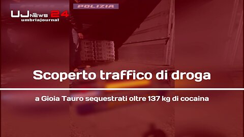 Scoperto traffico di droga a Gioia Tauro sequestrati oltre 137 kg di cocaina