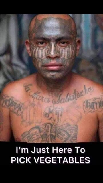 Do they know something we don't?