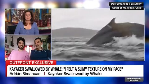 Kayaker describes being swallowed and spit out by whale