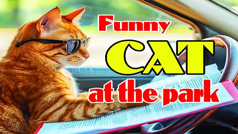 Cute animal kitten #cat #cute #kitten #pets #meow #videos #shorts
