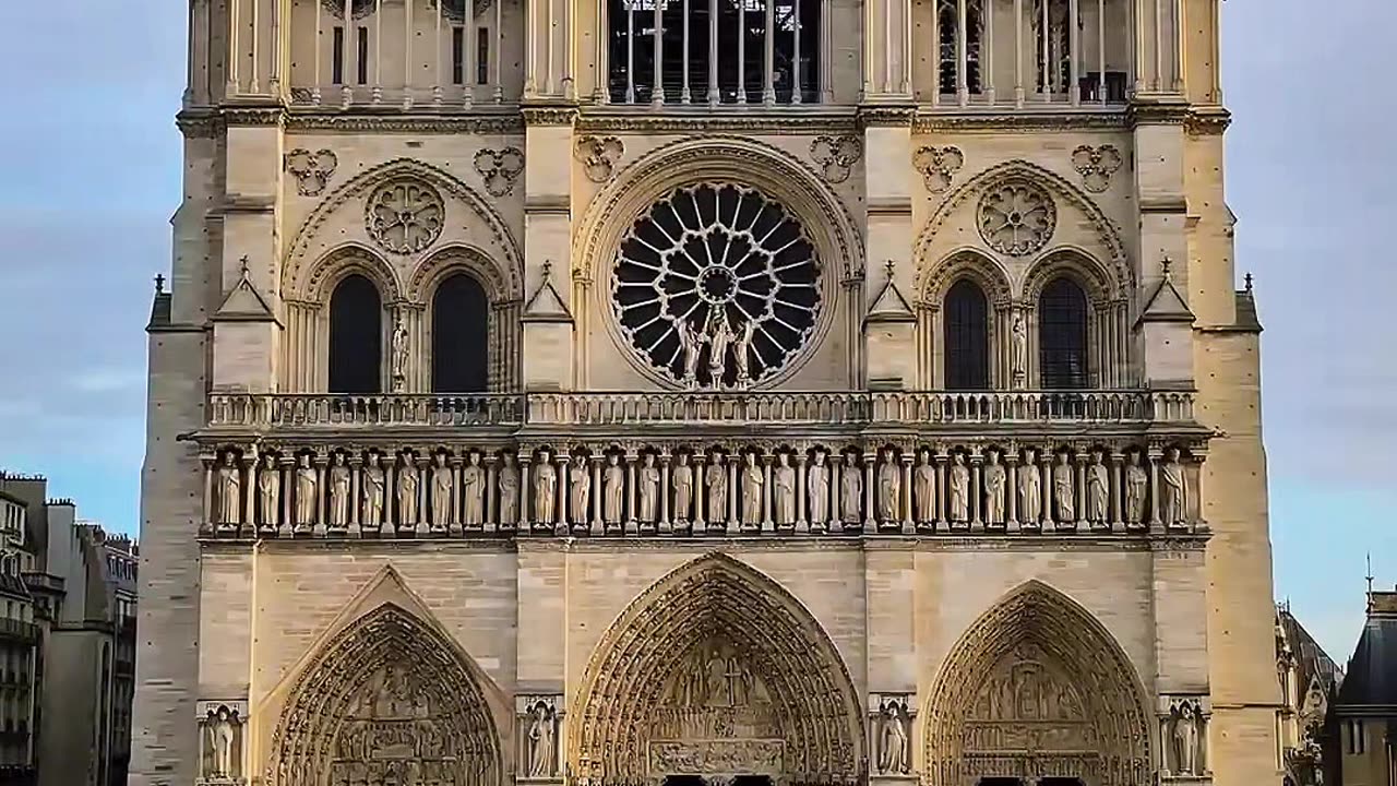 The Notre Dame Cathedral