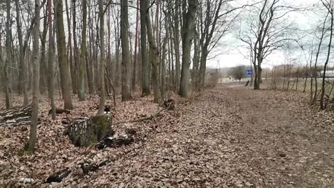 kształcą ...