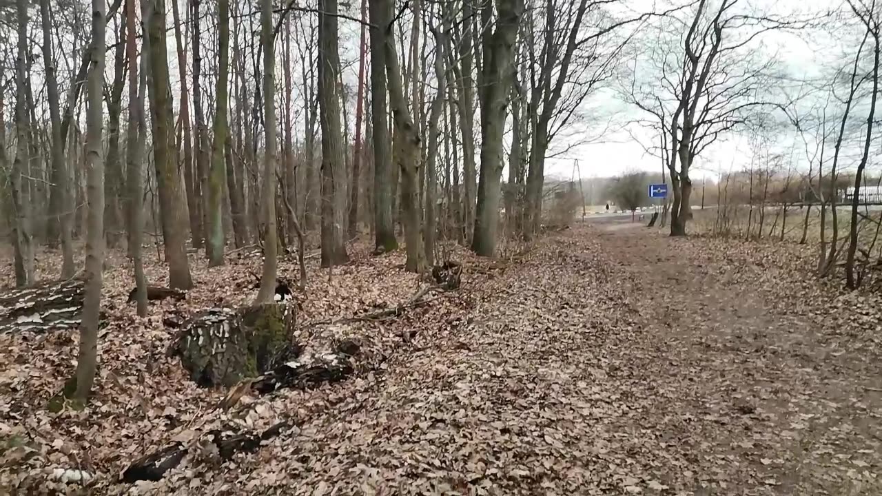 kształcą ...
