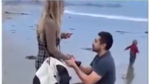 She said yes, right?