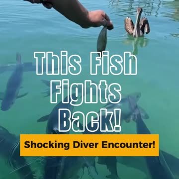 They Laugh, But This Is INSANE!