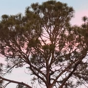 "Unlocking Your Potential: The Power of Self-Belief"