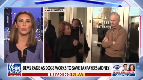 Alina Habba just went OFF on Democrats melting down over Elon and DOGE