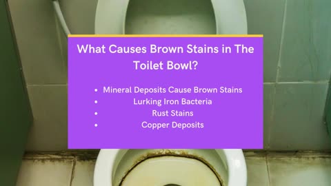 What Causes Brown Stains in The Toilet Bowl