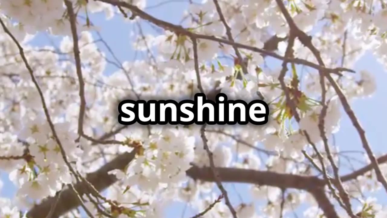 Praying for a Joyful Spring