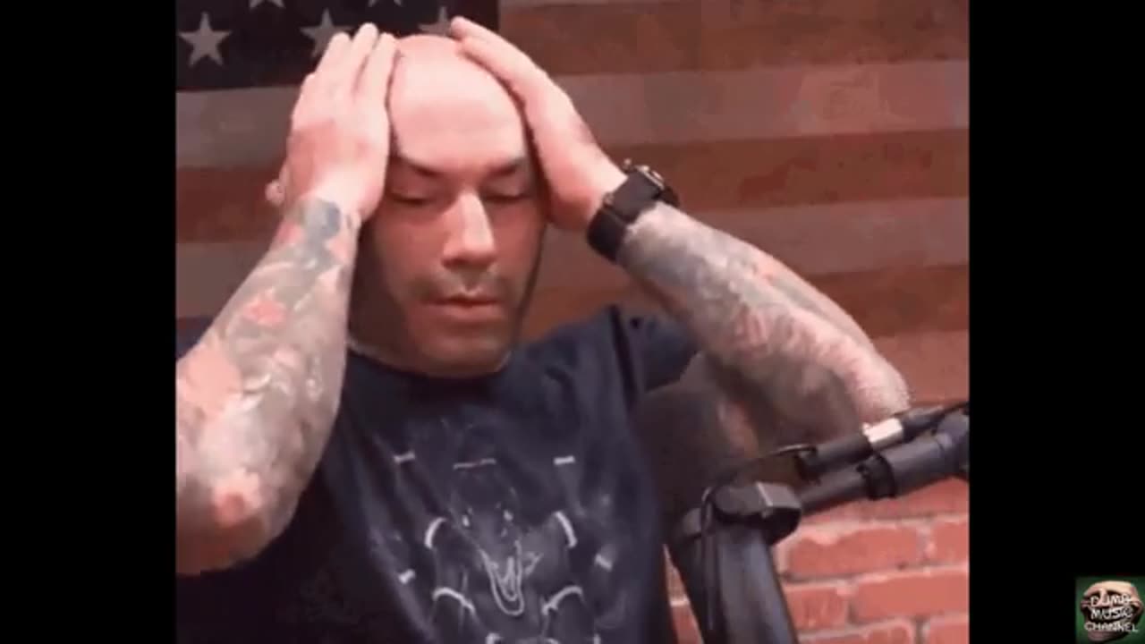 Not Like US but its Joe Rogan