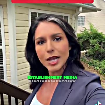 Tulsi Gabbard EXPOSES Ukraine's Zelensky😲