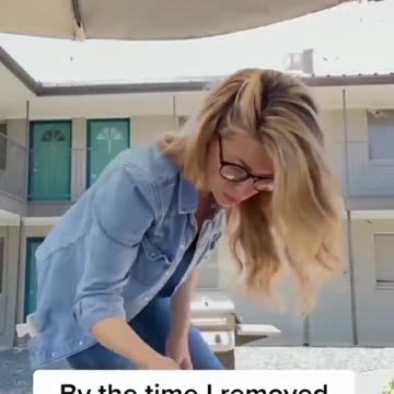 Love All Life Always #44 - Love this rescue of bees!