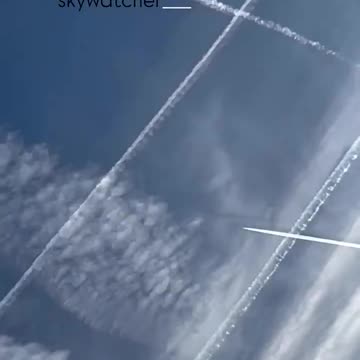 Anche oggi tutto il giorno.