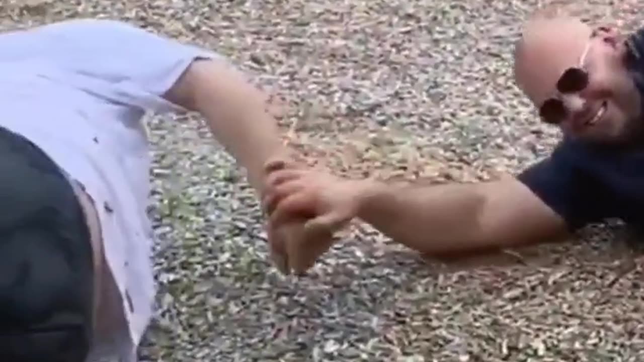Funny Cute Fail Animal Epic Fail 10