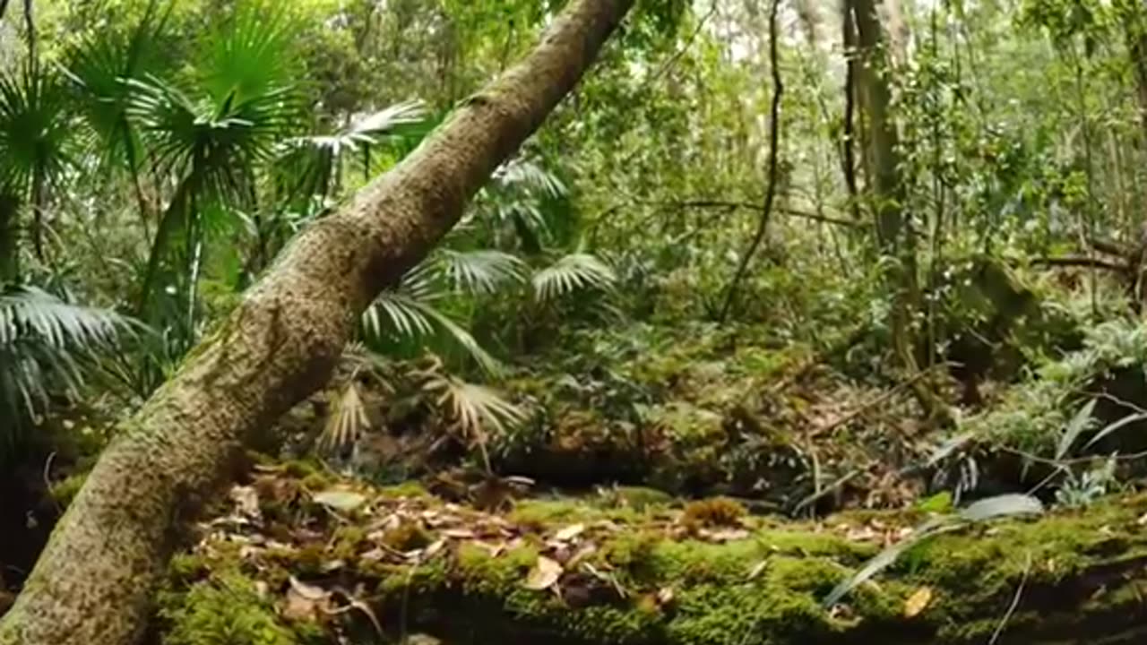 Best therapy for relaxation 😮‍💨