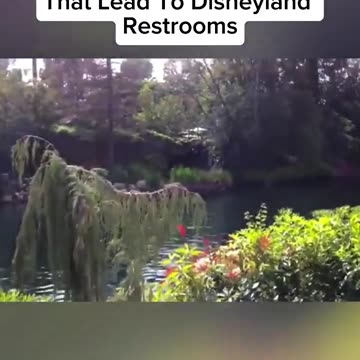 Suspicious tunnel found