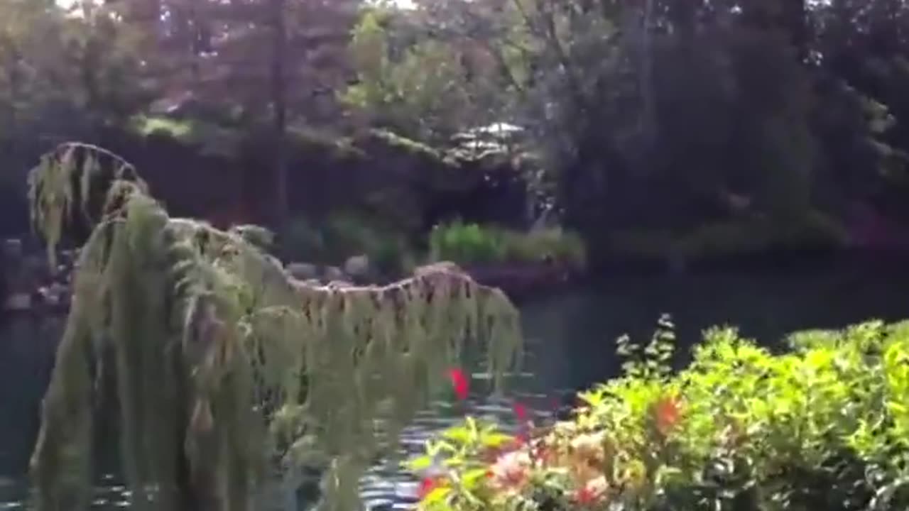 Suspicious tunnel found