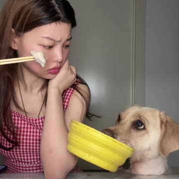 women vs dog fun time funny video 2025 skc.com 22